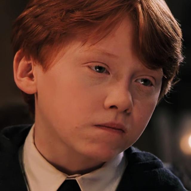 哈利波特第一部壁纸（哈利波特系列合集）(29)