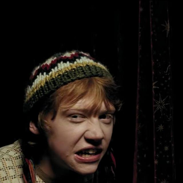 哈利波特第一部壁纸（哈利波特系列合集）(39)