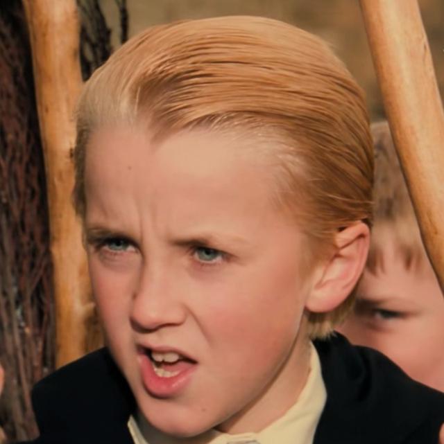 哈利波特第一部壁纸（哈利波特系列合集）(42)