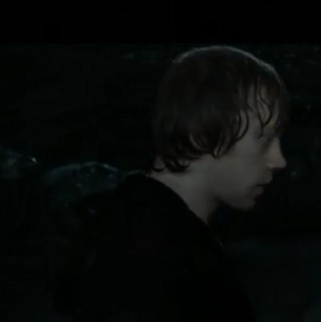 哈利波特第一部壁纸（哈利波特系列合集）(63)