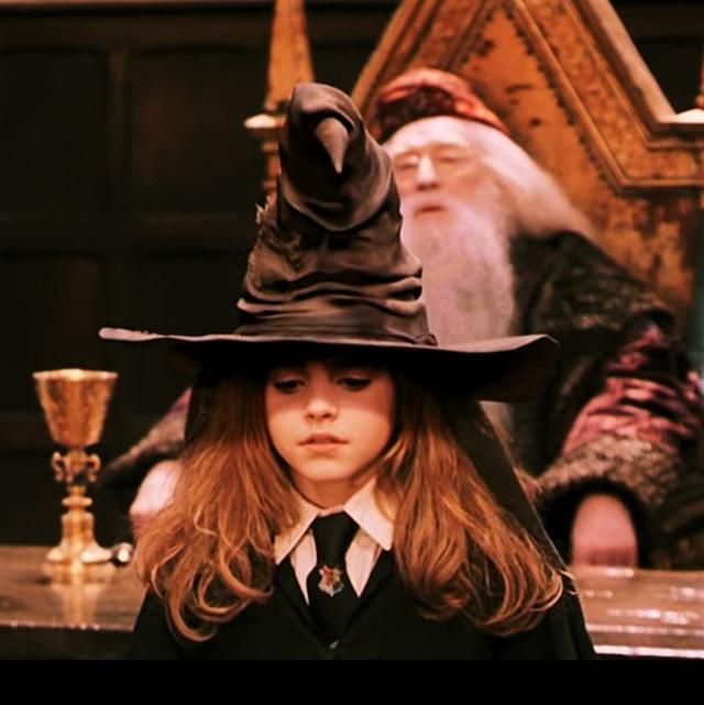 哈利波特第一部壁纸（哈利波特系列合集）(14)