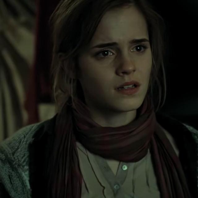 哈利波特第一部壁纸（哈利波特系列合集）(28)