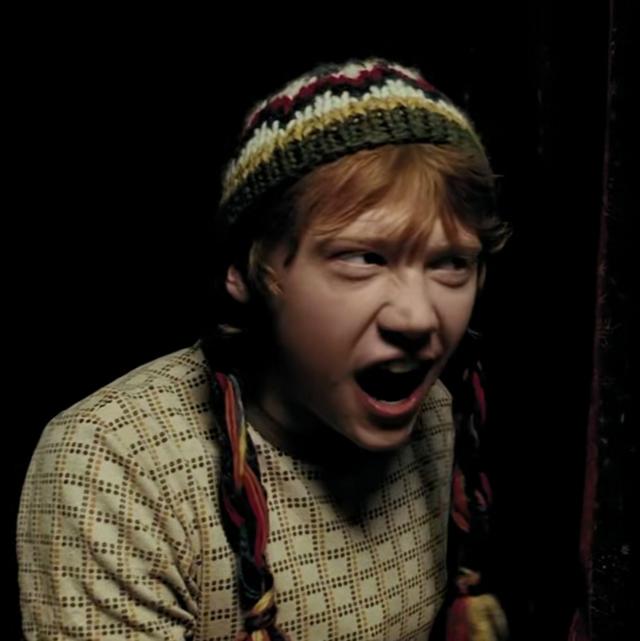 哈利波特第一部壁纸（哈利波特系列合集）(38)