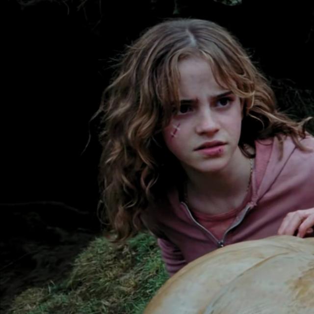 哈利波特第一部壁纸（哈利波特系列合集）(21)