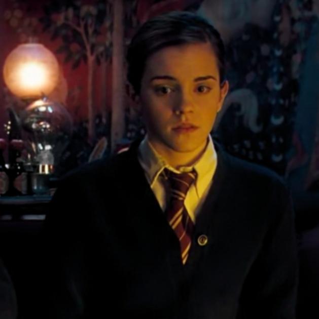 哈利波特第一部壁纸（哈利波特系列合集）(71)