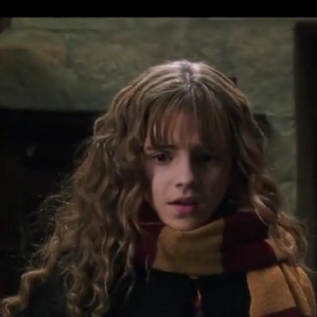 哈利波特第一部壁纸（哈利波特系列合集）(56)