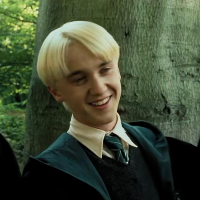 哈利波特第一部壁纸（哈利波特系列合集）(48)