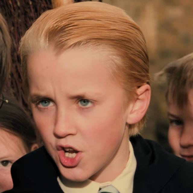 哈利波特第一部壁纸（哈利波特系列合集）(41)