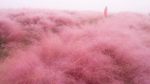 宿迁游玩景点大全（还没来宿迁的看过来）(12)