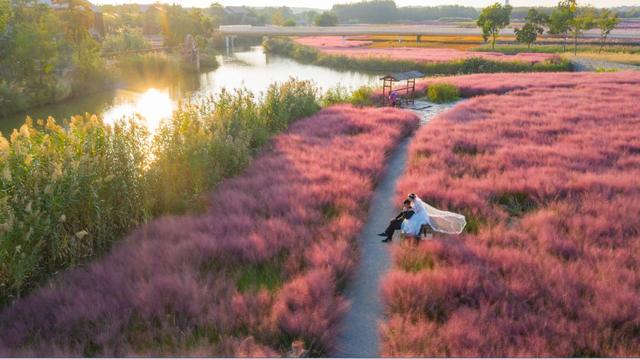 宿迁游玩景点大全（还没来宿迁的看过来）(11)