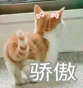 假发基本知识大全（知道这些就再也不怕被坑了）(1)