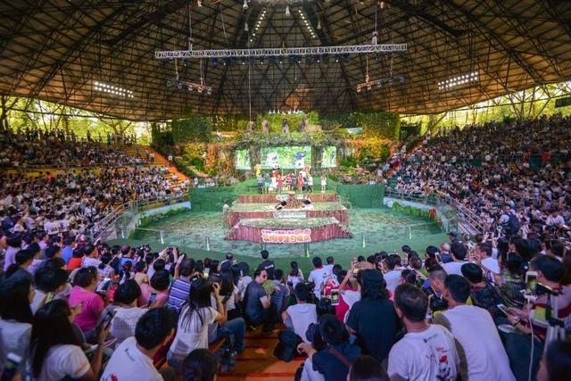 爸爸去哪儿第五季第四期小萌娃 爸爸去哪儿2熊猫三胞胎童话次元大冒险超萌首播(5)