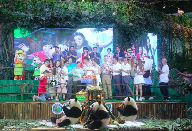 爸爸去哪儿第五季第四期小萌娃 爸爸去哪儿2熊猫三胞胎童话次元大冒险超萌首播(11)