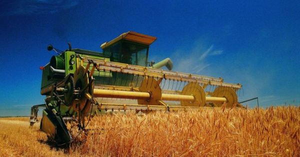 农业生产类型有哪些,什么决定农业生产类型图2