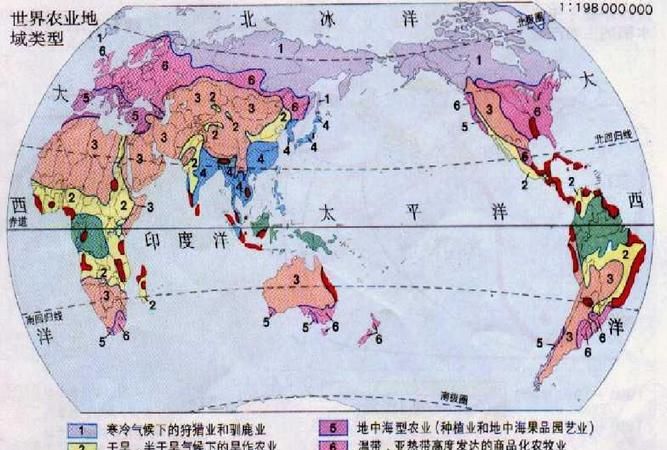 什么决定农业生产类型