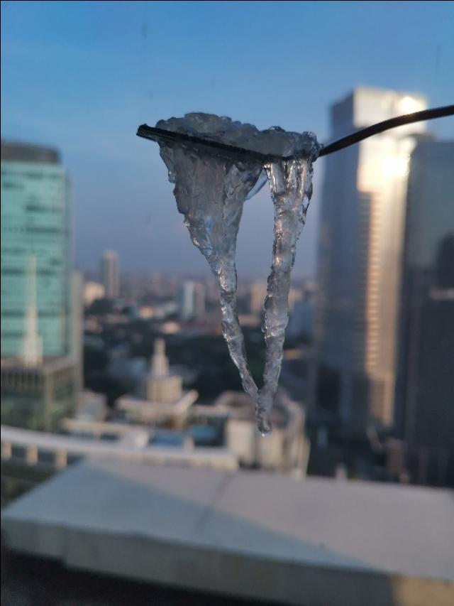 燕窝最简单的做法与吃法(燕窝的二十种做法)(1)