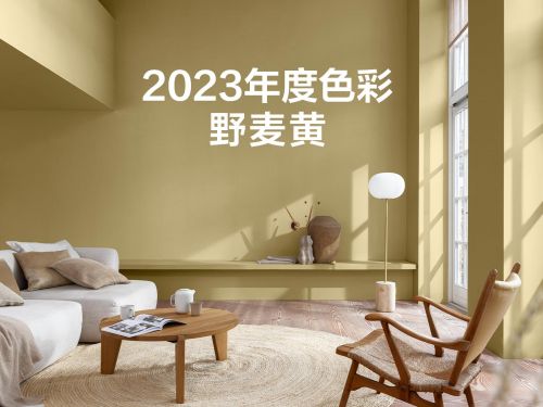 多乐士家丽安净味三合一价格(多乐士家丽安净味三合一)-第1张图片-