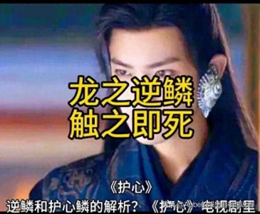 ​逆鳞是什么意思(《护心》逆鳞和护心鳞的解析)