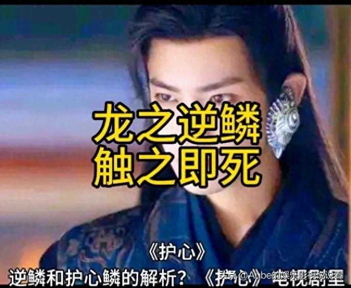 逆鳞是什么意思(《护心》逆鳞和护心鳞的解析)