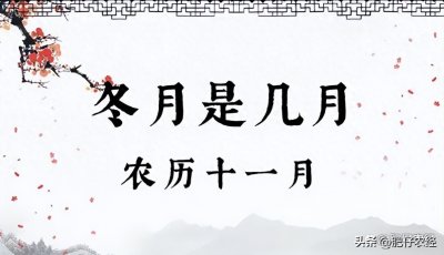 ​老话“冬月看初一”啥意思？冬月初一有啥预兆？老农告诉你答案