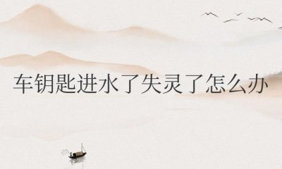 ​电动车钥匙进水了失灵了怎么办