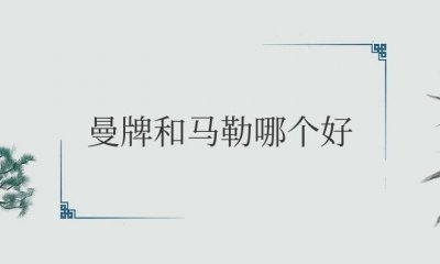 ​机油滤芯曼牌和马勒哪个好