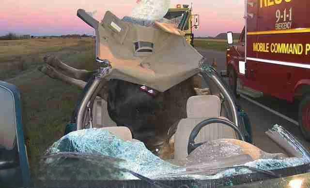 麋鹿测试是什么意思 麋鹿测试多少公里是合格的？-