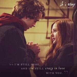 网络图片(侵删)