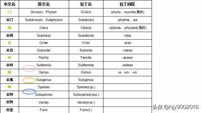 ​动植物分类等级(植物分类单位及种的命名)