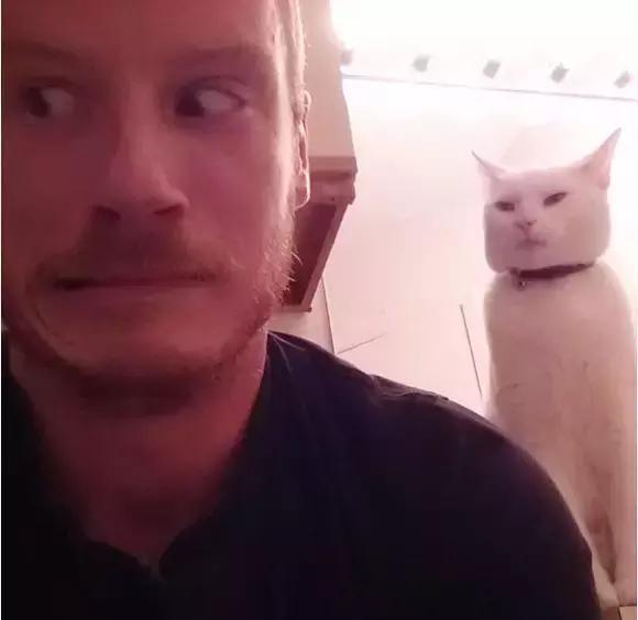 猫咪大半夜“谋杀”主人，咬鼻子把牙齿都崩坏了，各位铲屎官当心