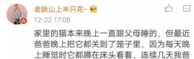 猫咪大半夜“谋杀”主人，咬鼻子把牙齿都崩坏了，各位铲屎官当心