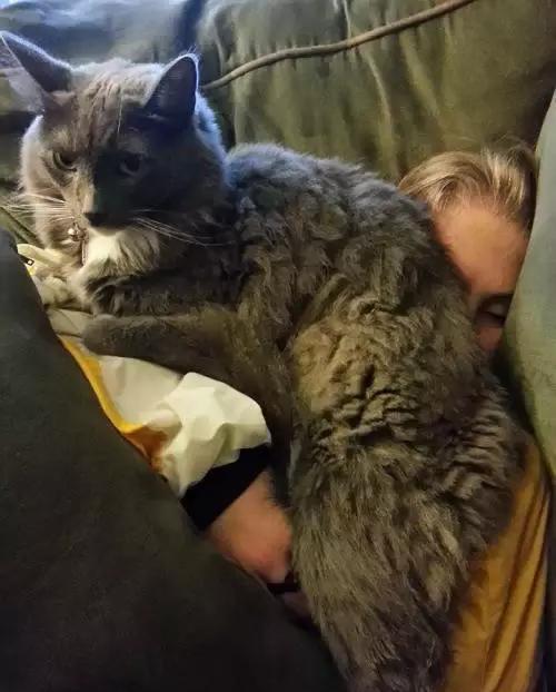 猫咪大半夜“谋杀”主人，咬鼻子把牙齿都崩坏了，各位铲屎官当心