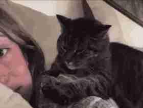 猫咪大半夜“谋杀”主人，咬鼻子把牙齿都崩坏了，各位铲屎官当心