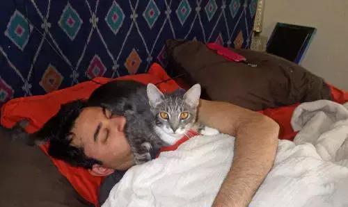 猫咪大半夜“谋杀”主人，咬鼻子把牙齿都崩坏了，各位铲屎官当心