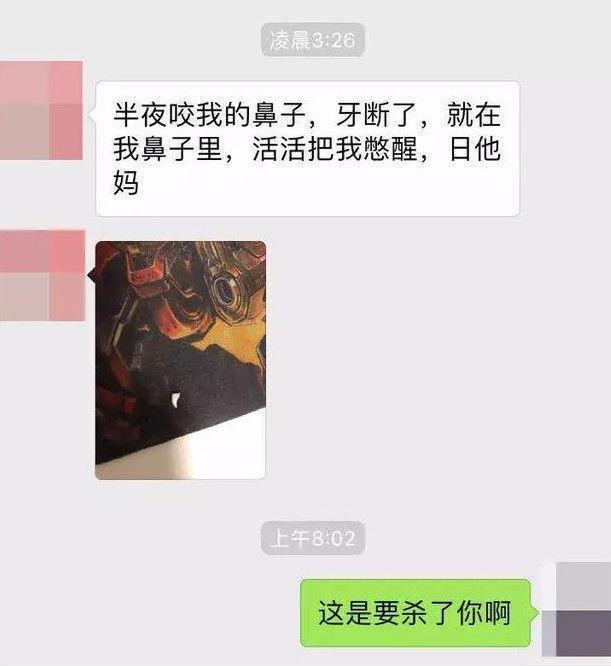 猫咪大半夜“谋杀”主人，咬鼻子把牙齿都崩坏了，各位铲屎官当心