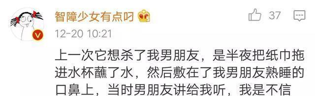 猫咪大半夜“谋杀”主人，咬鼻子把牙齿都崩坏了，各位铲屎官当心