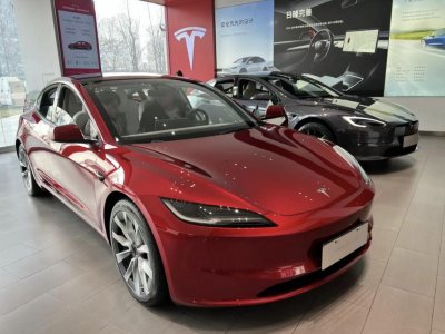 ​特斯拉Q2营收创纪录，马斯克“画饼”：10月发布Robotaxi，FSD或年内入华