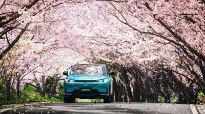 ​什么电动汽车质量最好性价比最高（现在什么牌子电动轿车好）