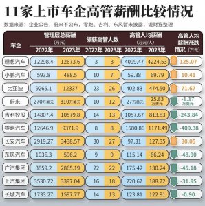 ​揭秘车企老总年薪！理想总裁拿6000万，有人降薪5000万