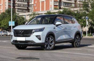 ​空间大省油的家用车