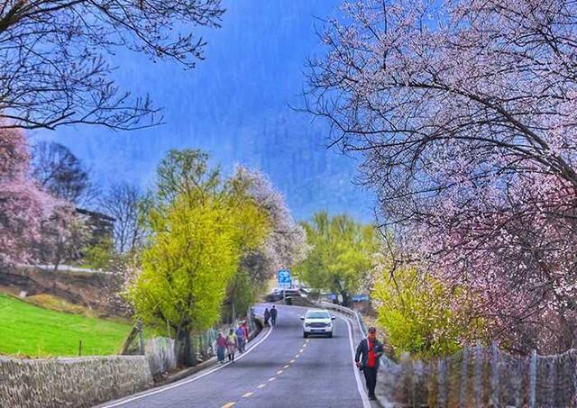 去西藏玩的朋友，有在当地租车的吗？靠谱吗？价格大概是多少钱？-