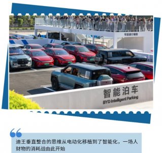 ​比亚迪自制智能化全家桶，赌上9万工程师的尊严