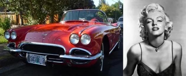 SS Dolphin丨海豚汽车演绎你从未见过的车界传奇-