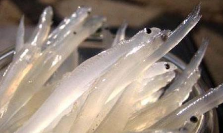 湖南美食,湖南美食有哪些图9