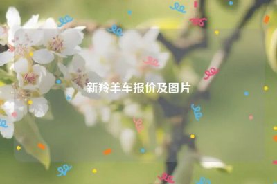 ​新羚羊车报价及图片