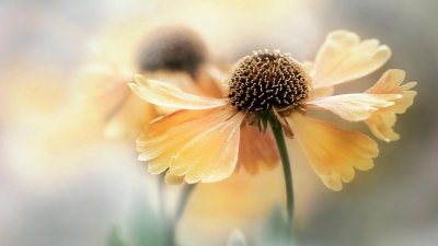 ​实现第1个百年奋斗目标的意义（我们实现了第一个百年奋斗目标）