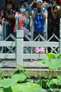 ​济南回收珍品茅台酒的地方，济南回收珍品茅台酒 ***