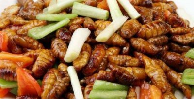 ​蚕蛹怎么吃升白效果好,蚕蛹怎样做才好吃