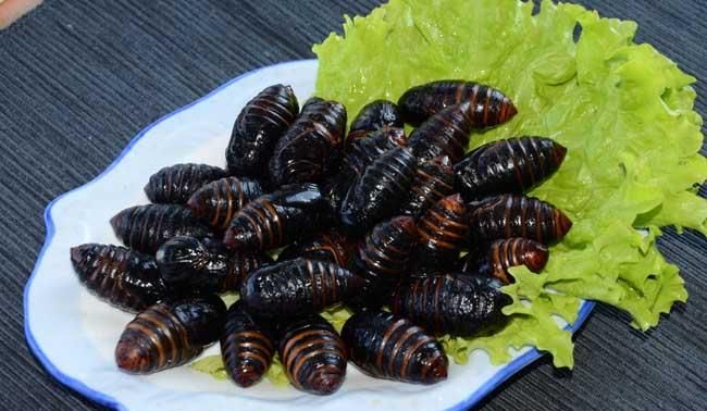 蚕蛹怎么吃营养价值最好