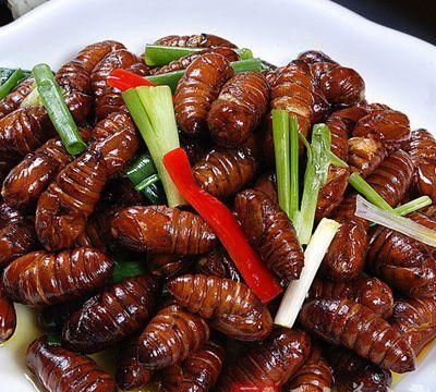 蚕蛹的营养价值与功效